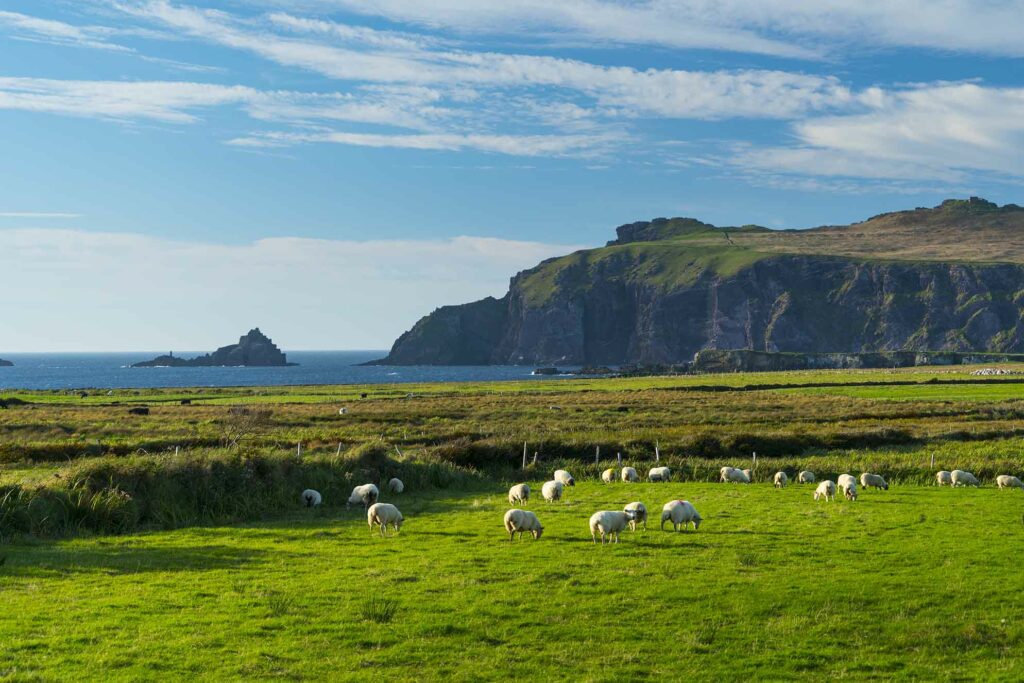 Coumeenoole Bay, Dingle Peninsula, County Kerry, Ireland, Europe