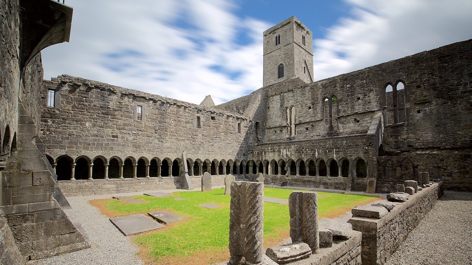 Sligo Abbey