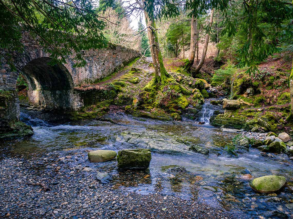 Tollymore Forest, Haunted Forest, Ireland