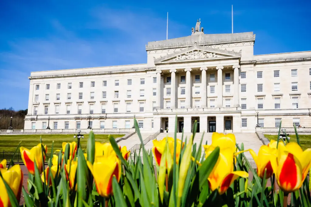 Parliament Buildings in Belfast Northern Ireland with bright yellow tulips in the foreground on a sunny day