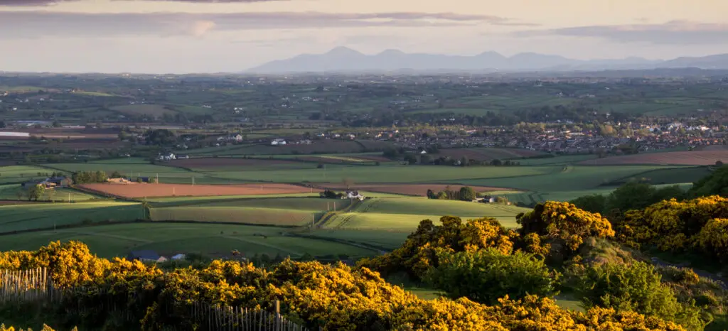 Scenic view of the rolling countryside and farmland in County Down, Northern Ireland, with the Mourne Mountains in the distance at sunset