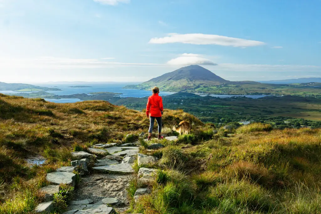 Hiker with dog enjoying scenic view from Diamond Hill in Connemara National Park, Ireland overlooking mountains, lakes, and coastline on a sunny day