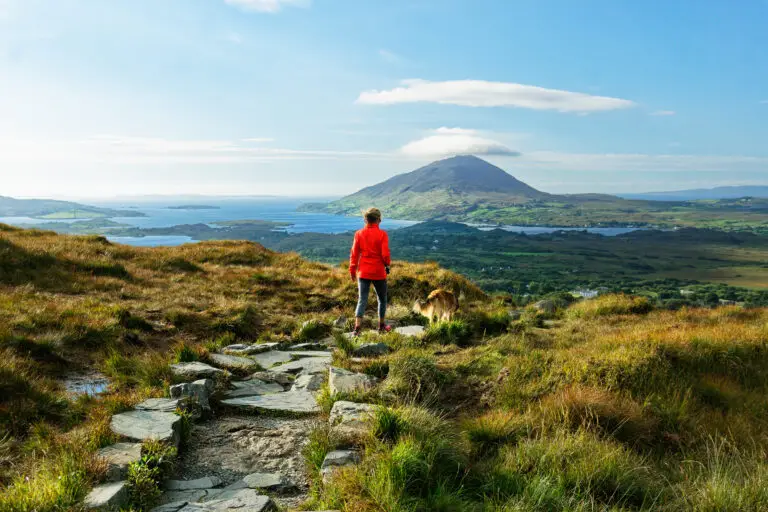 Hiker with dog enjoying scenic view from Diamond Hill in Connemara National Park, Ireland overlooking mountains, lakes, and coastline on a sunny day